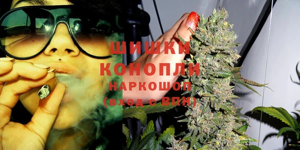 дмт Бородино