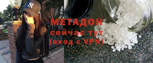дмт Бородино