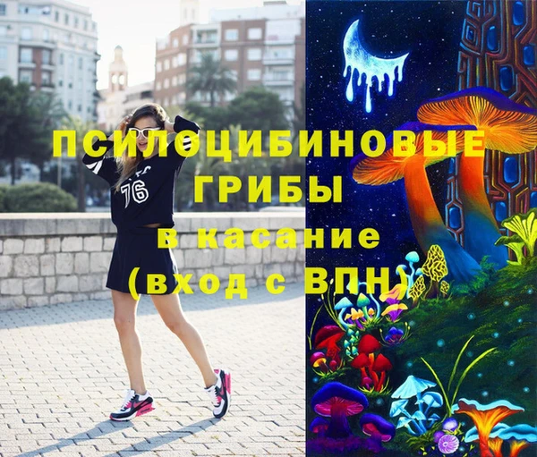 гашик Богородск