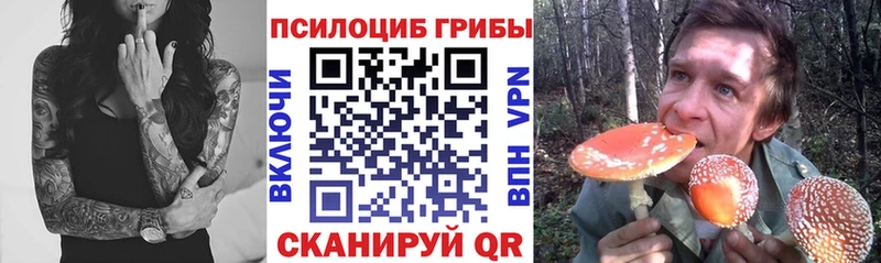 Псилоцибиновые грибы мухоморы  Купить  Темников 