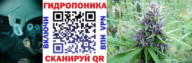 Купить закладки  Темников  Конопля Bruce Banner 